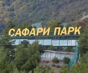 Что есть в сафари-парке в Геленджике
