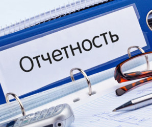 Виды бухгалтерской отчетности