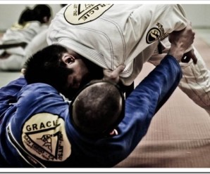Стоит ли заниматься BJJ?