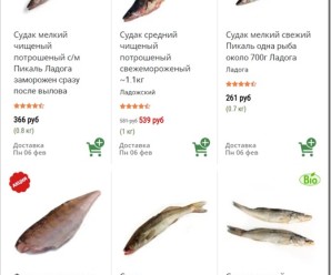Советы по выбору свежего судака