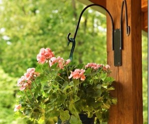 clip_image001