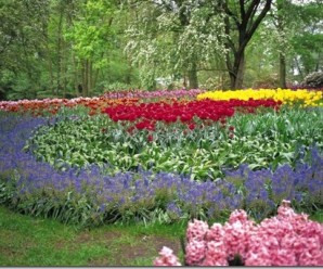 clip_image001